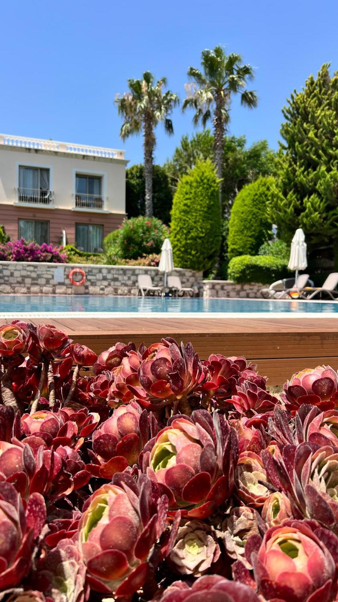 Hotel Antmare Alaçatı